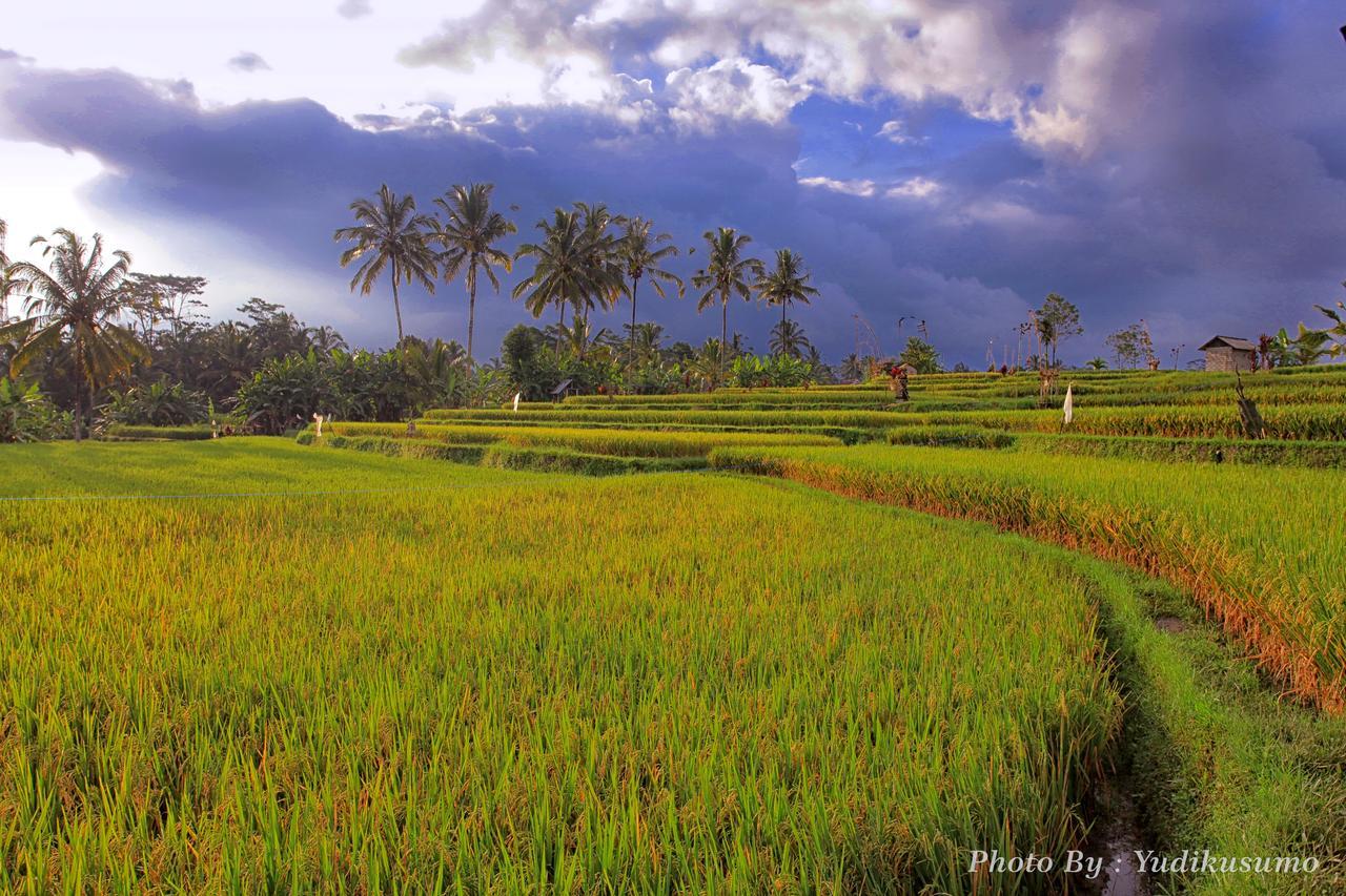 Tetirah Boutique Hotel Ubud Exteriör bild