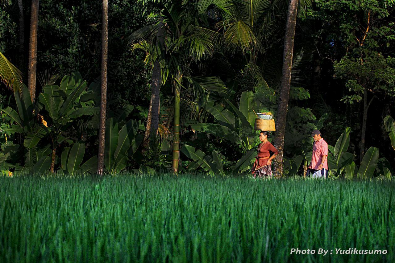 Tetirah Boutique Hotel Ubud Exteriör bild