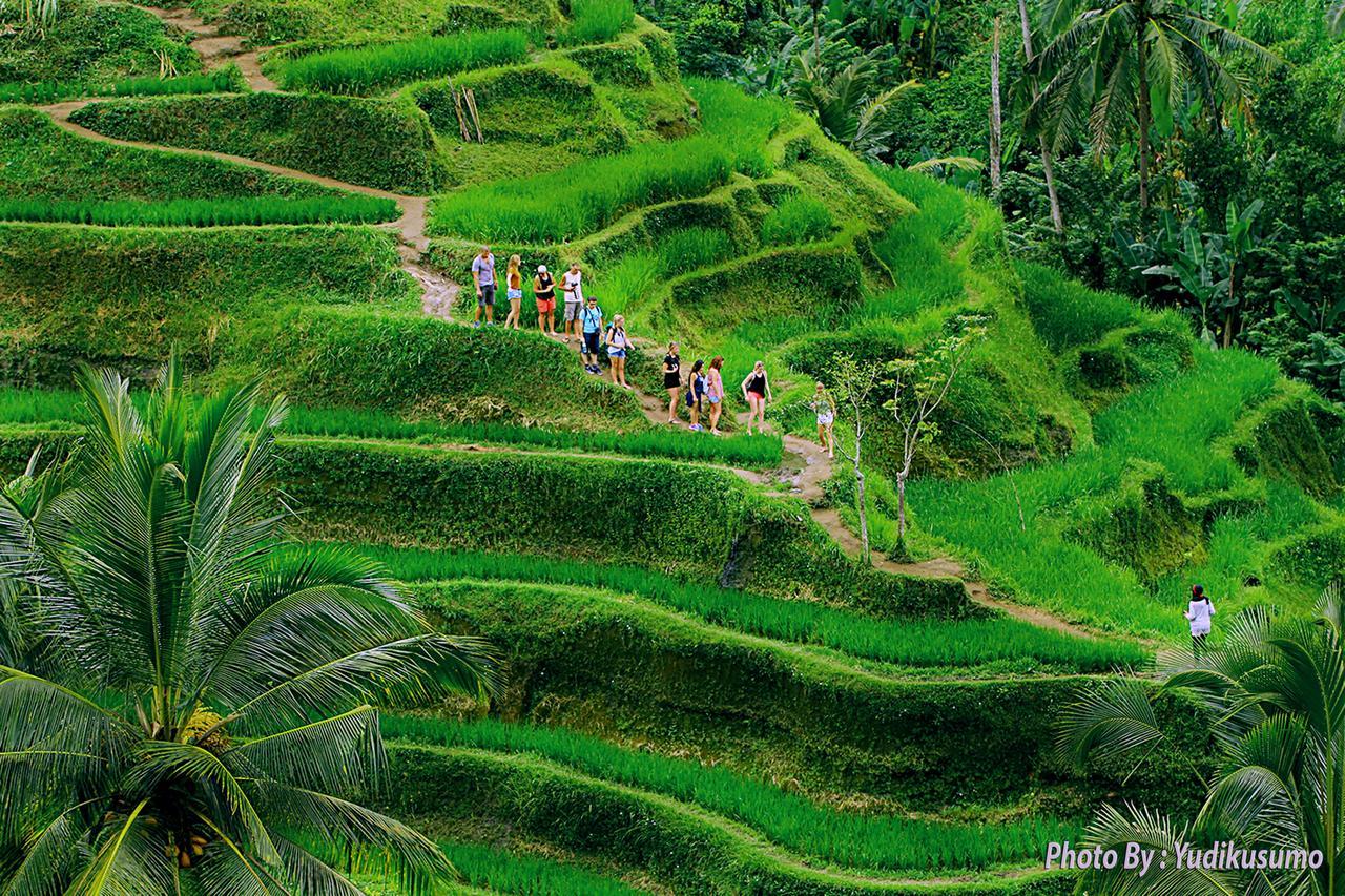 Tetirah Boutique Hotel Ubud Exteriör bild